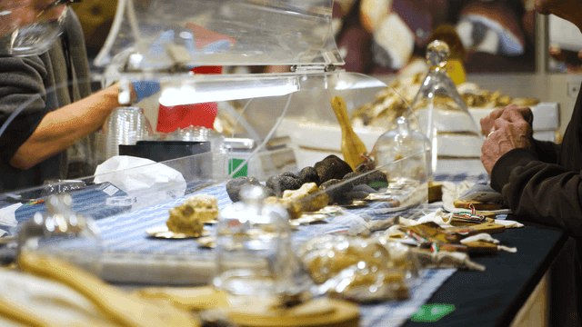 People selecting truffles at a market stall