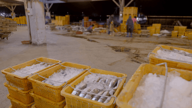 Fish market warehouse working at night
