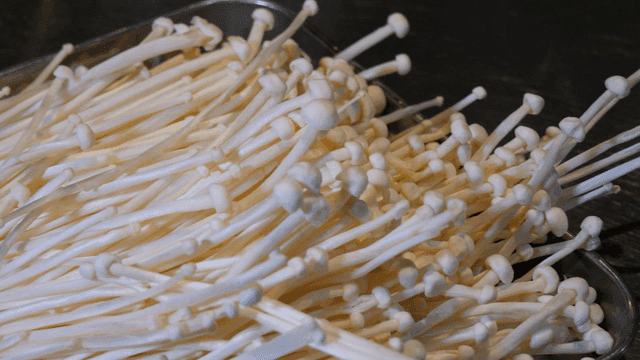 Pile of enoki mushrooms on tray