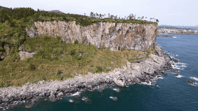 Coastal cliffs covered with lush green vegetation