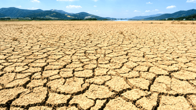 Vast dry drought fissure terrain under clear sky