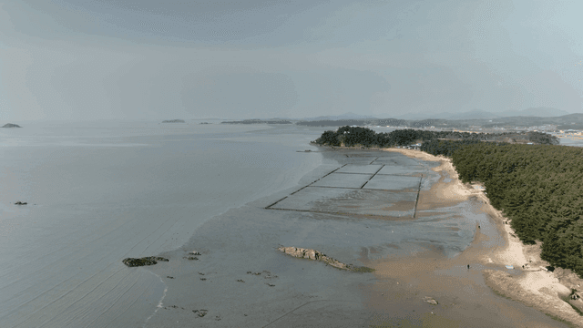 Serene coastal scenery and mudflats.
