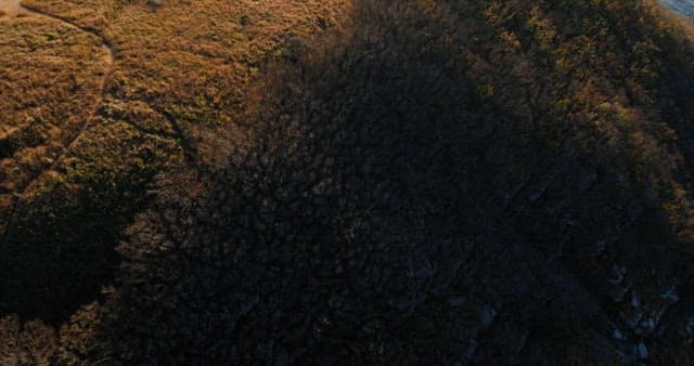 험준한 해안 절벽의 해안 풍경