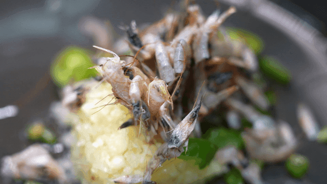 Fresh shrimp and garlic being prepared