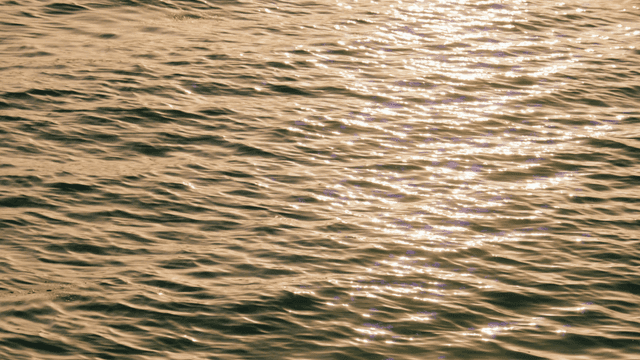 Sunlight reflecting on gentle sea waves