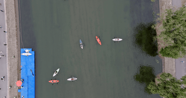 Kayakers paddling on a calm river