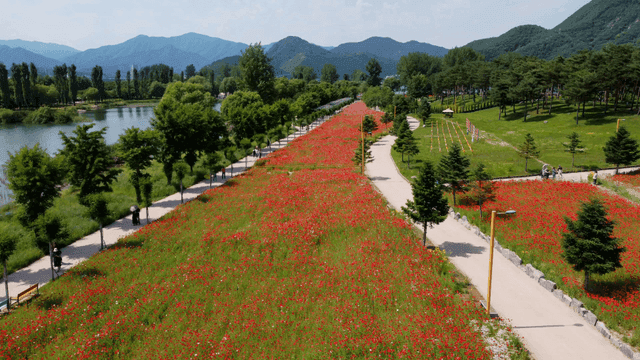 Scenic park with colorful flower gardens
