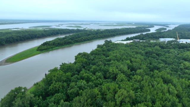 Riverside with green and lush forest