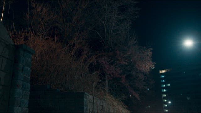 밤에 주택가 길거리로 들어서는 자동차