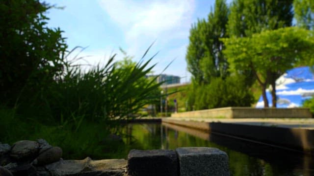 Serene park with a small canal and lush trees on a sunny day