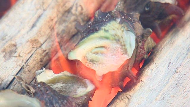 활활 타는 숯불에서 조리하는 소라 요리