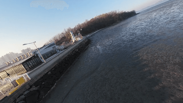 Seagulls flying over a coastal mudflat