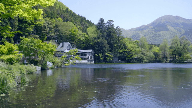 Serene lakeside with lush greenery