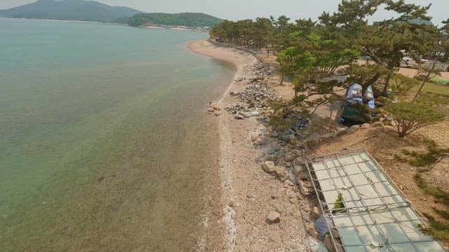 Serene beach with clear sea and trees