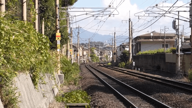 Railway tracks leading through a suburban area