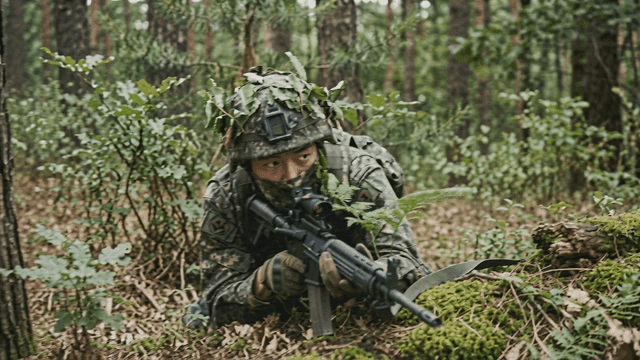 Soldier in camouflage crawling in forest