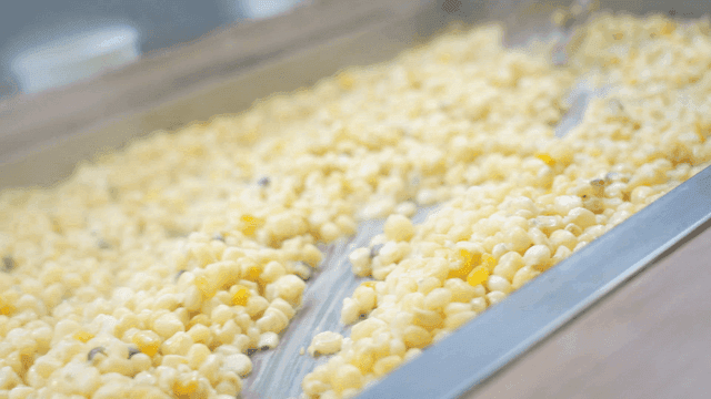 Corn kernels being stirred on hot plate