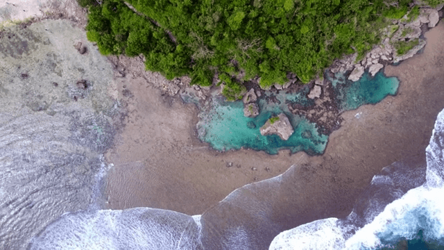 Aerial view of a tropical beach and forest