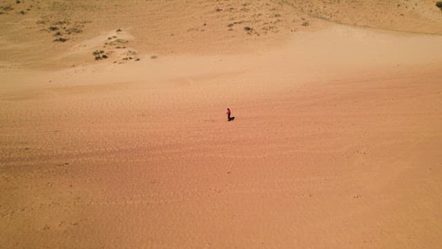 Lone Person Walking on a Vast Desert