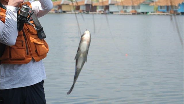 Fishing by the lakeside with a catch