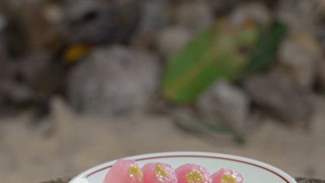 흰 접시에 담긴 분홍색 참치 초밥