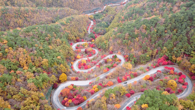Winding road through colorful autumn forest
