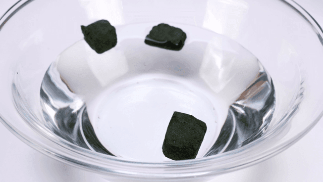 Freeze-dried seaweed blocks placed in bowl filled with water