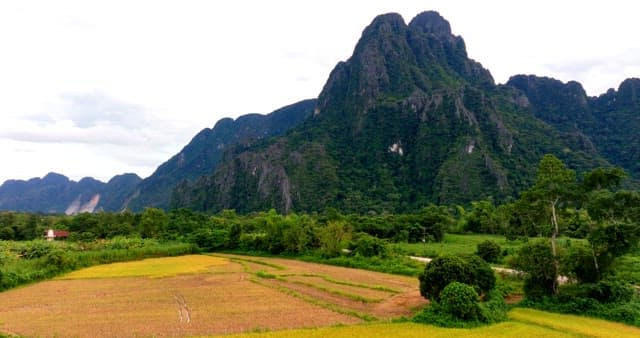 Lush Greenery and Majestic Mountain in the Countryside