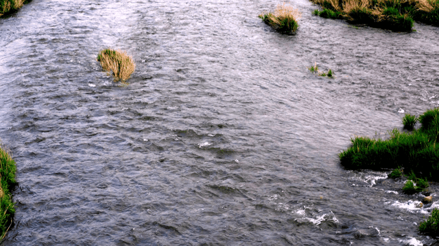 Flowing river with lush green banks