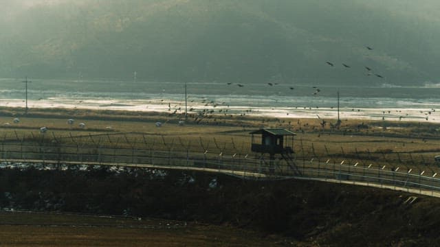 Birds Flying over the Winter Riverside Fields