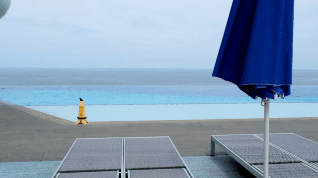 Infinity pool and sunbeds overlooking ocean