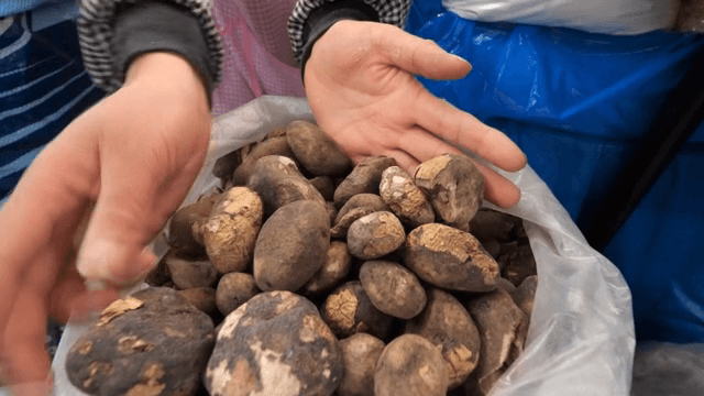 시장에 버섯을 보여주는 손