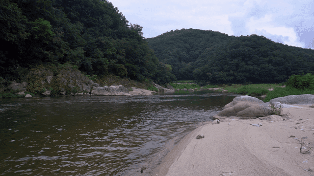 푸른 숲으로 둘러싸인 흐르는 강
