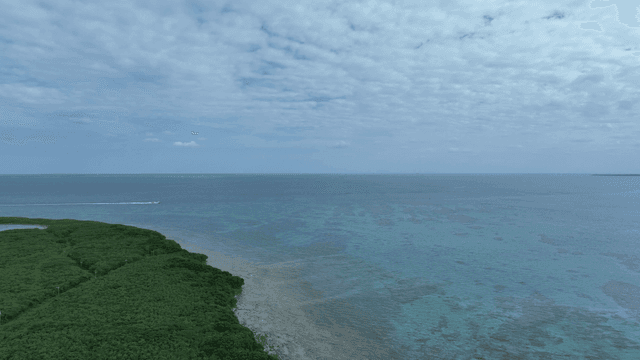 Wide sea with coastline visible in distance
