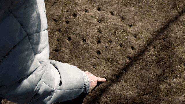 Person pointing at holes on a rock