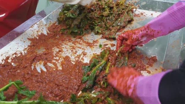 Preparing kimchi with fresh leaf mustard stems