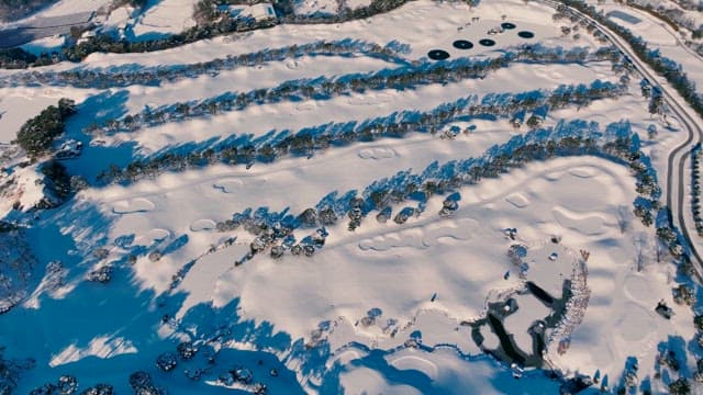 그림자와 나무가 있는 위에서 본 눈 덮인 풍경