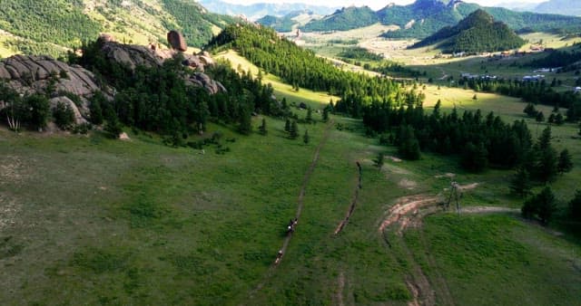 산악 골짜기를 지나가는 말들