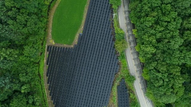 Solar Panels Installed Between Green Lush Forest