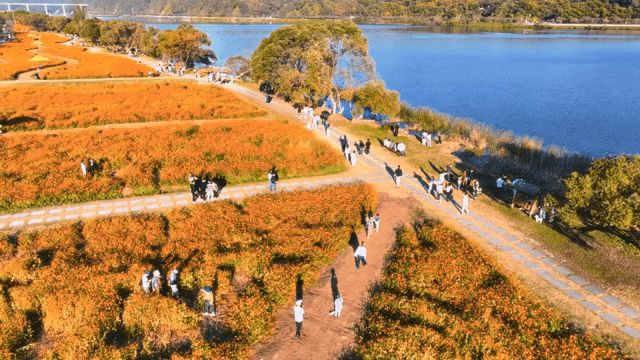 화려한 꽃밭이 있는 호숫가 공원