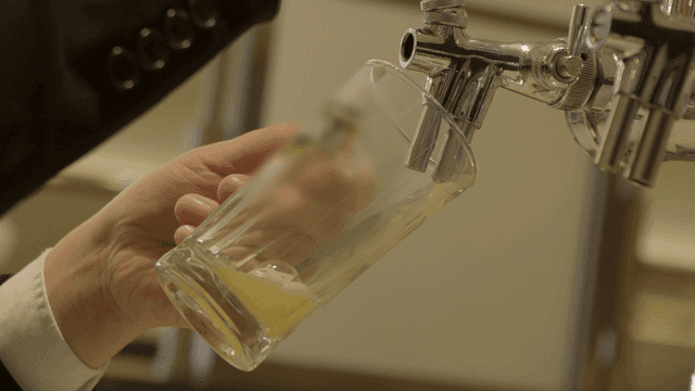 Pouring beer into a glass from a tap