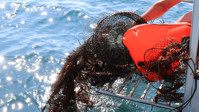 Waste nets pulled up from sea