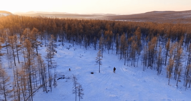 Snowy forest landscape at sunrise