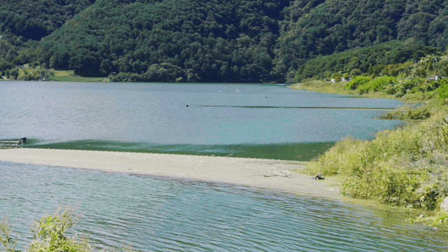 푸른 숲으로 둘러싸인 고요한 호수