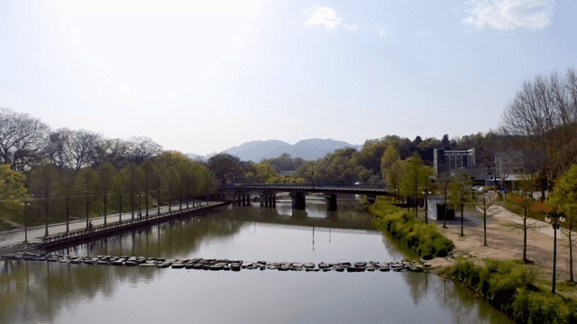 다리와 나무가 있는 고요한 강