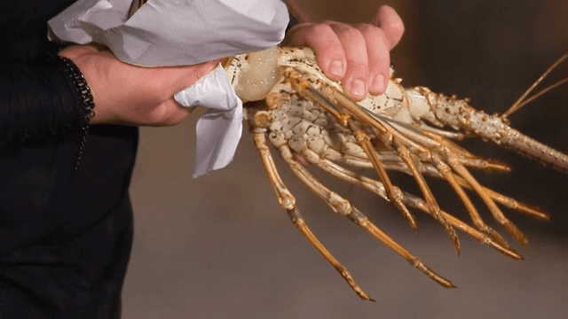 손으로 생 크레이피시를 뜯는 사람