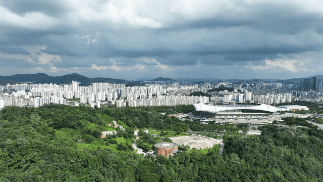 City skyline with stadiums and forests