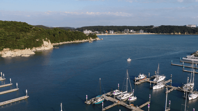 Marina with yachts and a scenic coastline