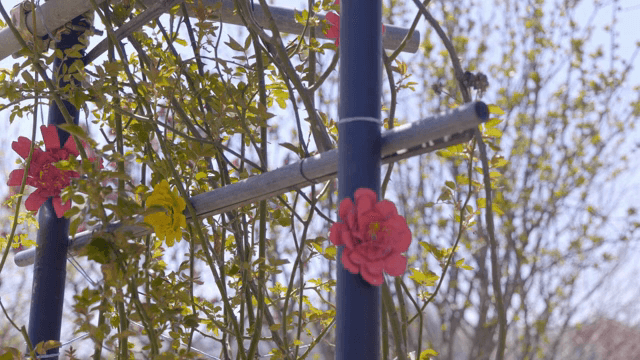 노란 꽃과 꽃장식이 걸려있는 기둥