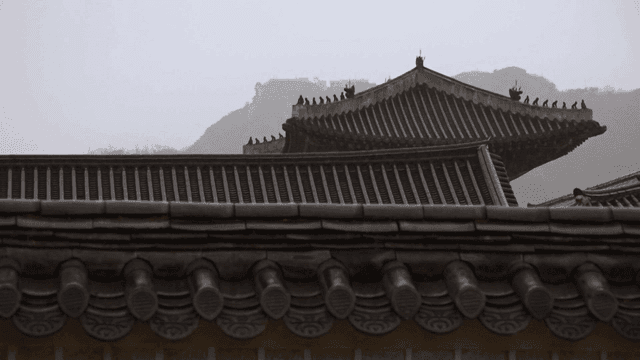 Rainy traditional Hanok roof tiles